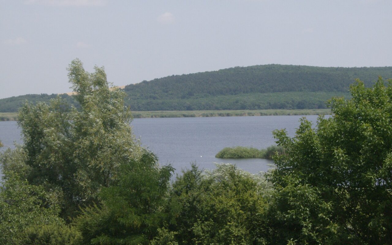 Резерват Сребърна