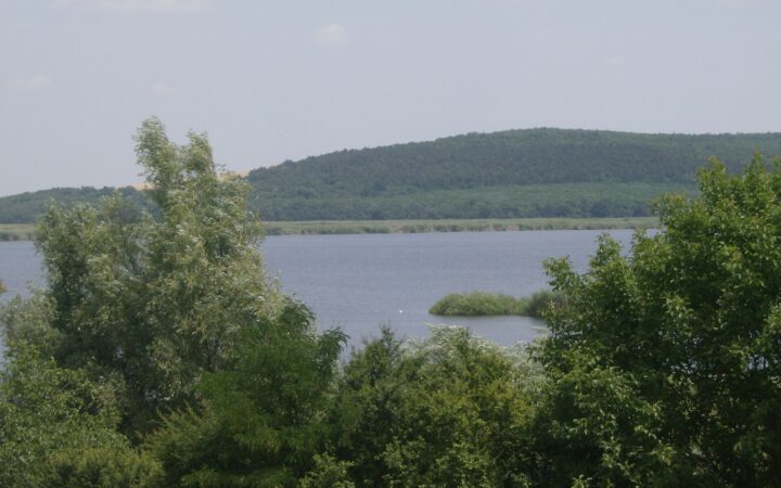 Резерват Сребърна